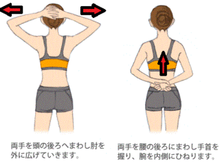 2.gif